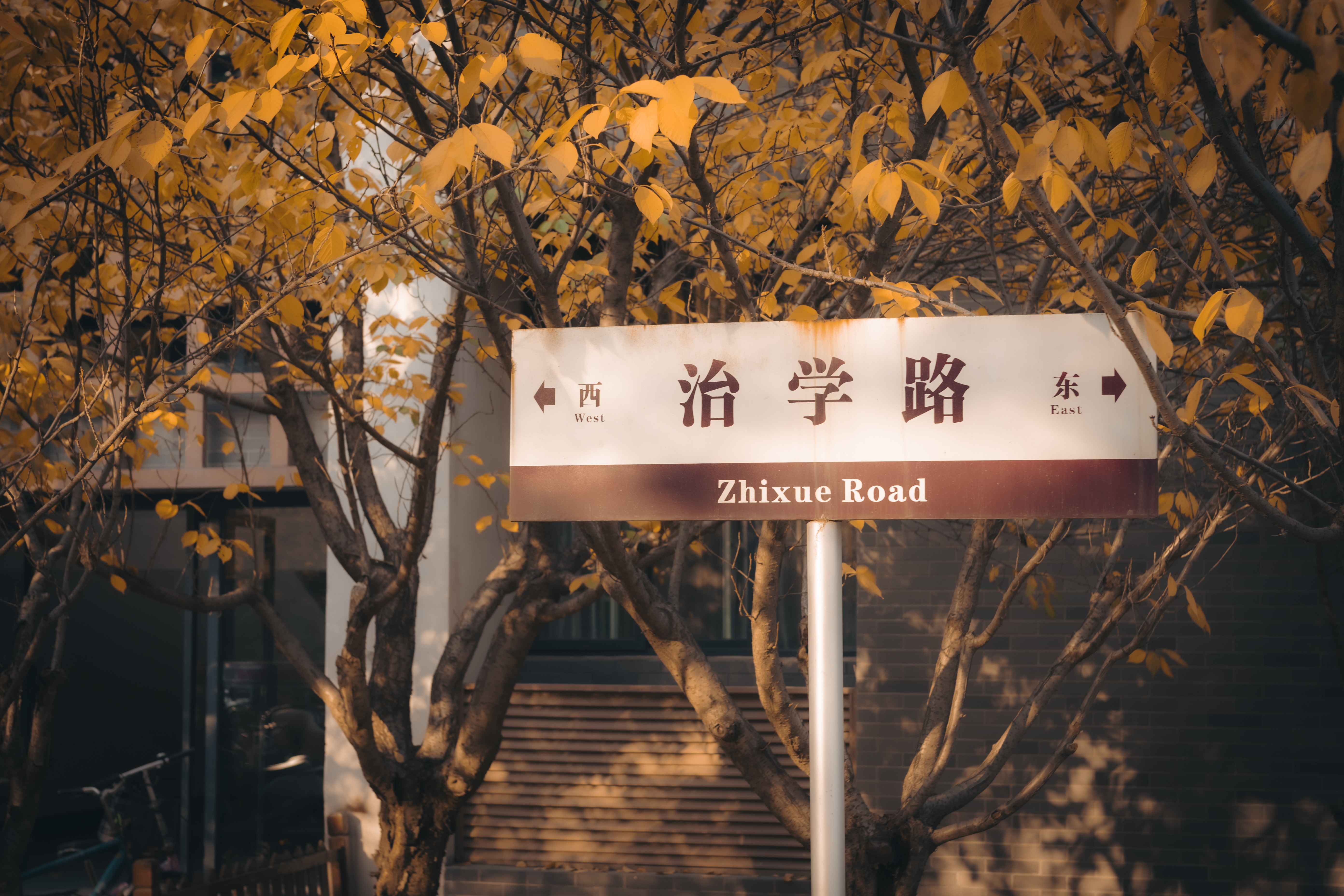 校园美景